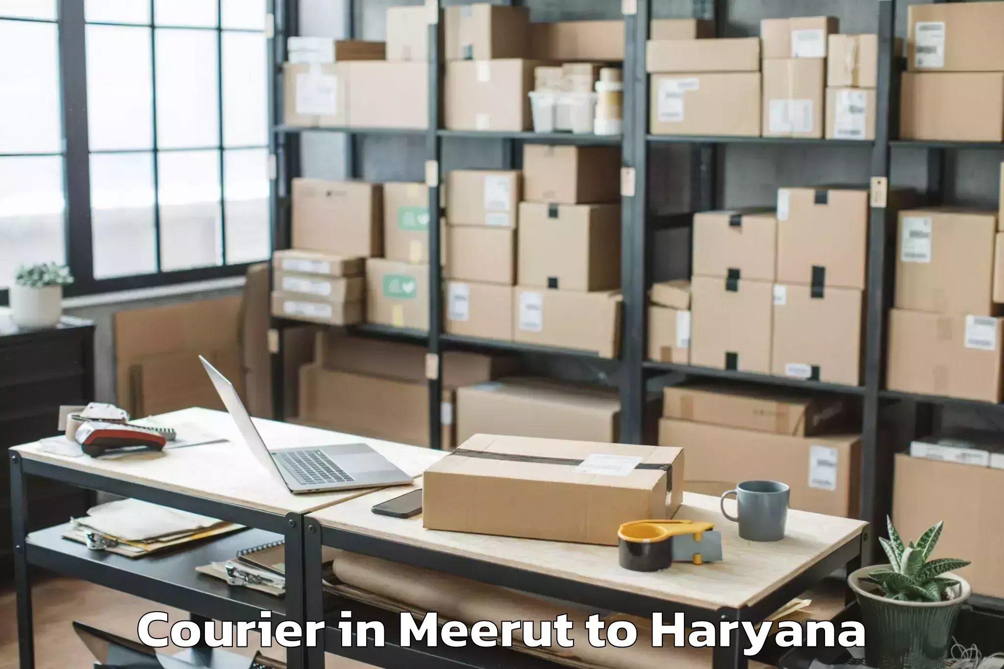 Professional Meerut to Gharaunda Courier